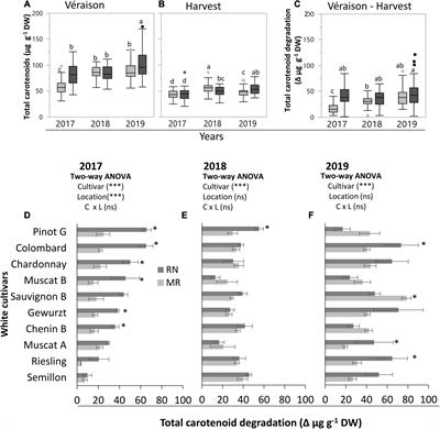 The Effect of Topo-Climate Variation on the Secondary Metabolism of Berries in White Grapevine Varieties (Vitis vinifera)